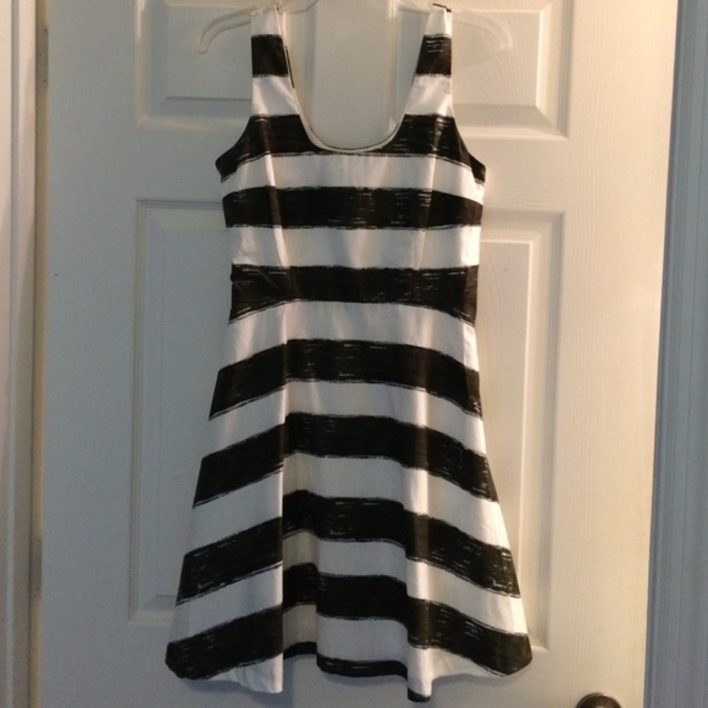 BB Dakota Green & White Dress Small 2